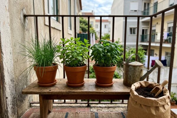 Três vasos de temperos numa varanda de apartamento com regador e saco de terra ao lado
